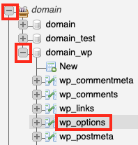 Select the Wp_options Table in Your WP
Database