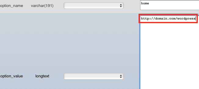 Change Only the Option_value in the Wp_options
Table