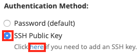 Choose the SSH Public Key Radio
Button