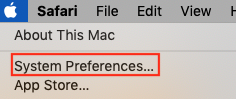 Select System Preferences from the Apple
Menu