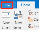 Click the File Menu
Item