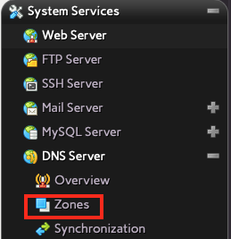 Click on Zones Under the DNS Server
Section