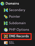 Click on DNS Records in the Domains
Section