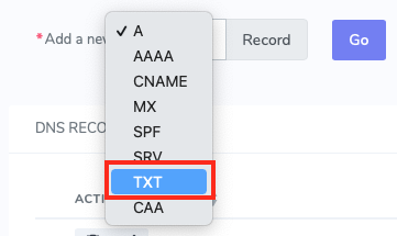 Under the Add a New Drop-Down Menu, Select TXT and Click
Go