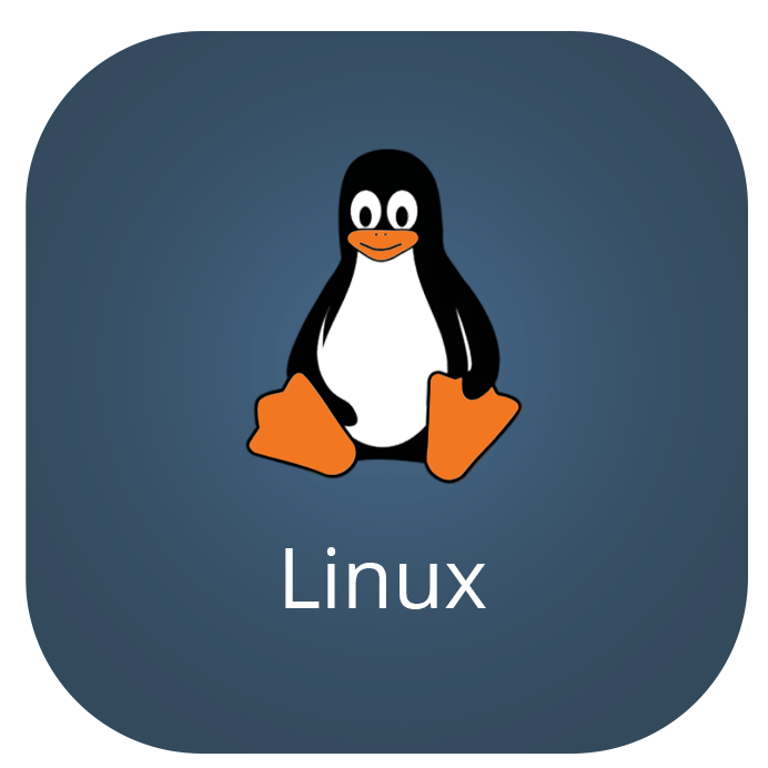 Linux Server logo