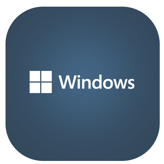 Windows Server logo