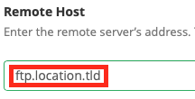 Type in the remote hostname for your FTP service