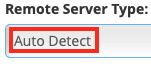 Leave the Remote Server Type Set to Auto Detect Unless There are Problems
