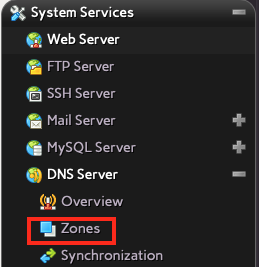 Click on Zones Under the DNS Server Section