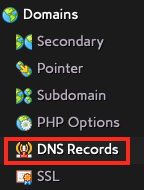 Click on DNS Records in the Domains Section