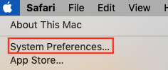 Select System Preferences from the Apple Menu