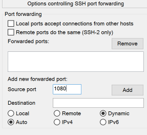 Set a Local Source Port Type to Dynamic