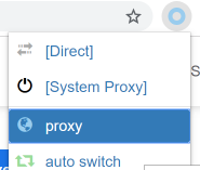 Select the Proxy to Use It